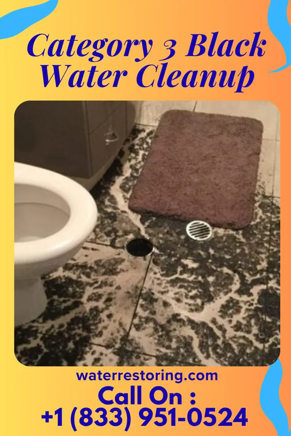 Category 3 Black Water Cleanup in Breckenridge, MO